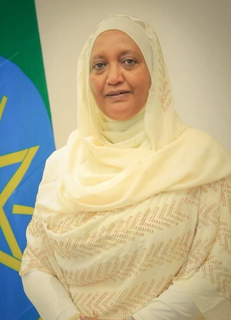 Buzena Alkidr Hajizuli, Speaker of Addis Ababa City Administration Council
